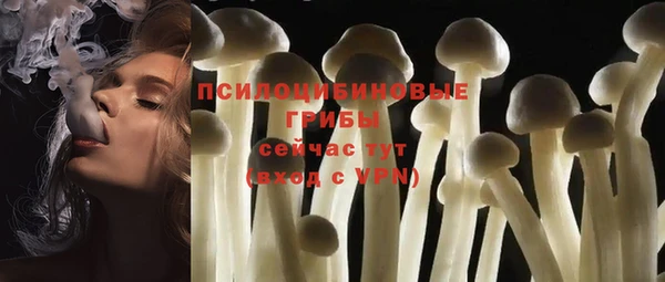 spice Бородино