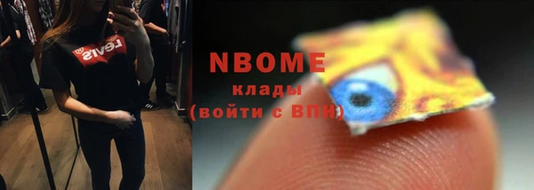 мдпв Богородск