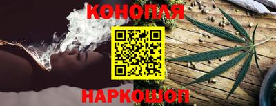 шишки Жуковский