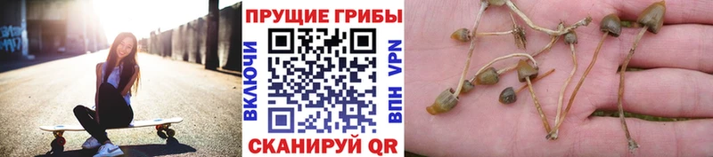Псилоцибиновые грибы мухоморы  мега сайт  Кызыл 