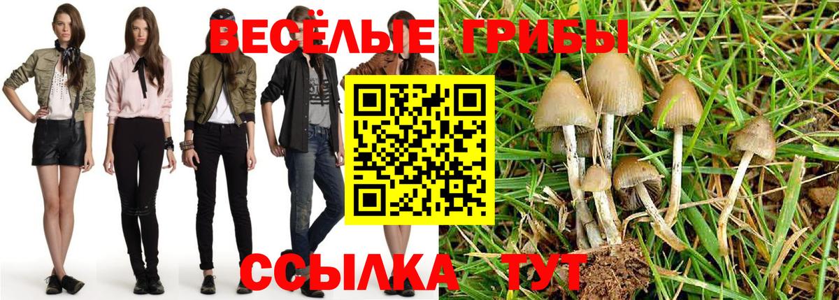 наркота  Вход с VPN  Галлюциногенные грибы GOLDEN TEACHER  Кызыл  Галлюциногенные грибы Cubensis 