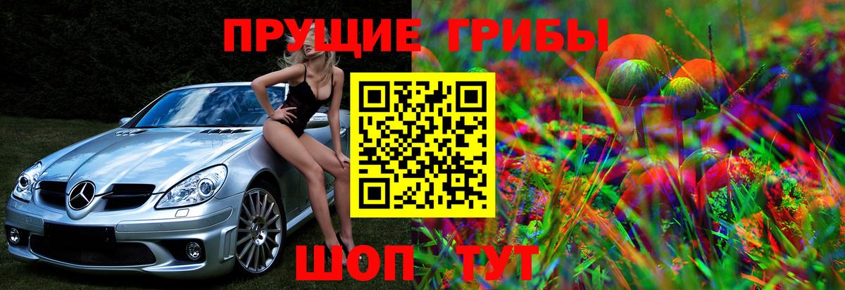 Псилоцибиновые грибы MAGIC MUSHROOMS Кызыл
